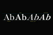 Molagane | Fancy Serif Typeface, a Serif Font by Qaratype (Thumbnail 10 of 26)