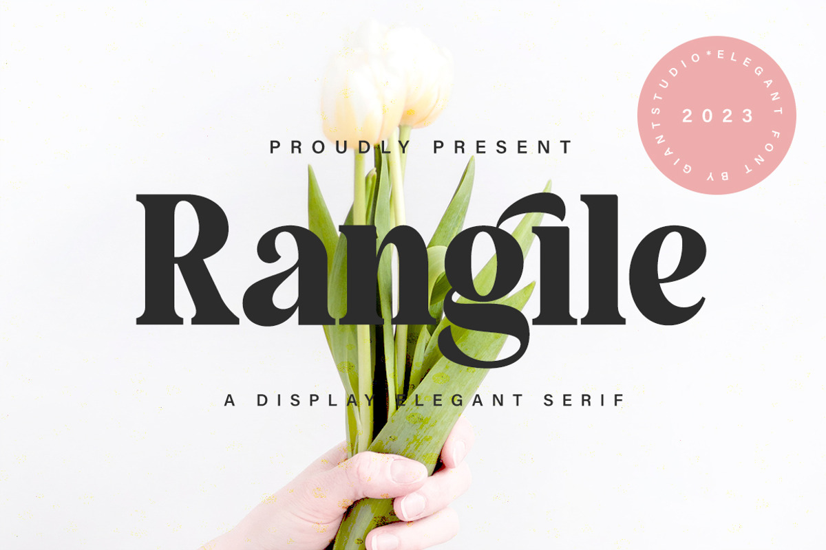 Rangile, a Serif Font by studiobasic (Photo 1 of 10)