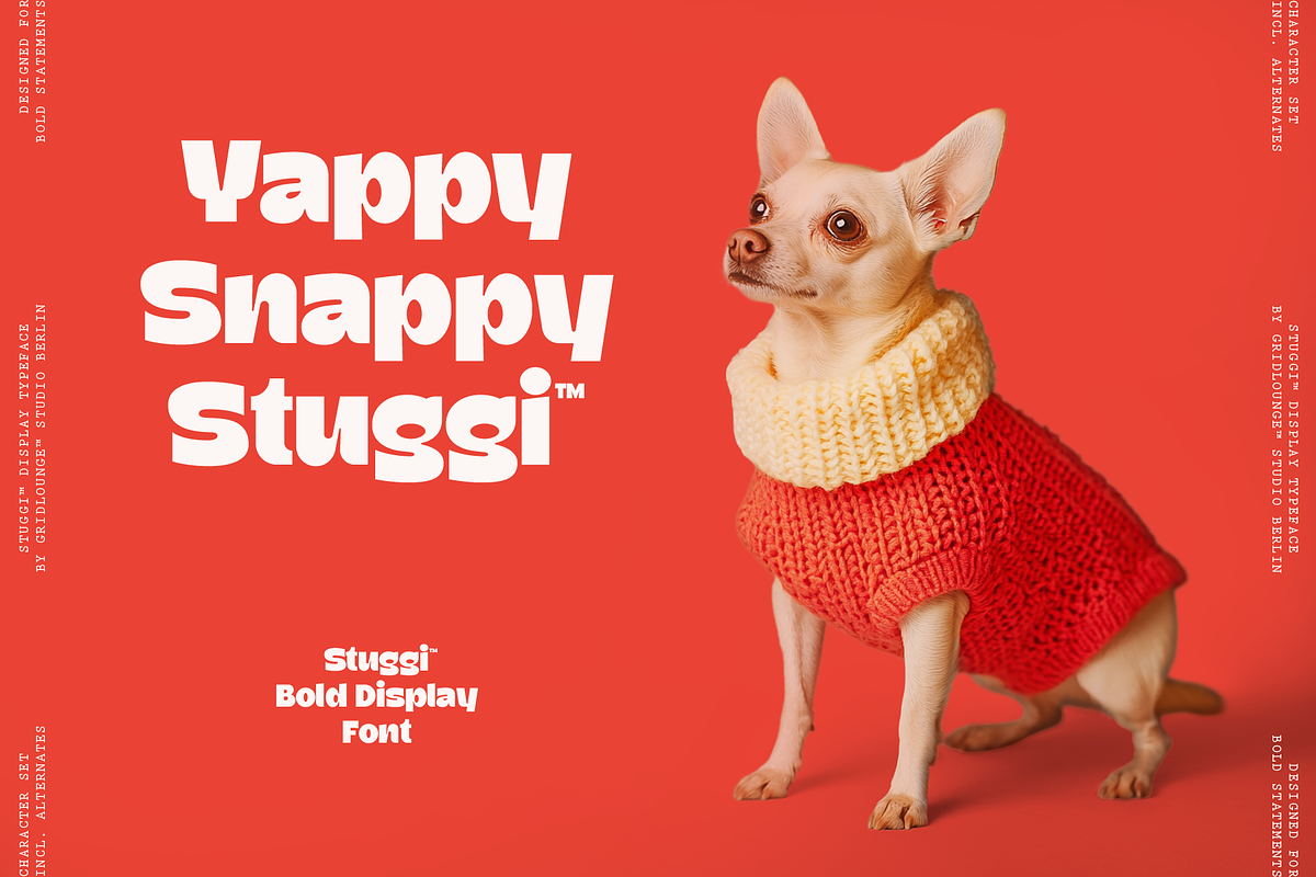 Stuggi – Modern Display Font, a Sans Serif Font by Gridlounge (Photo 4 of 17)