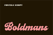 Fontega, a Script Font by ahweproject (Thumbnail 9 of 11)