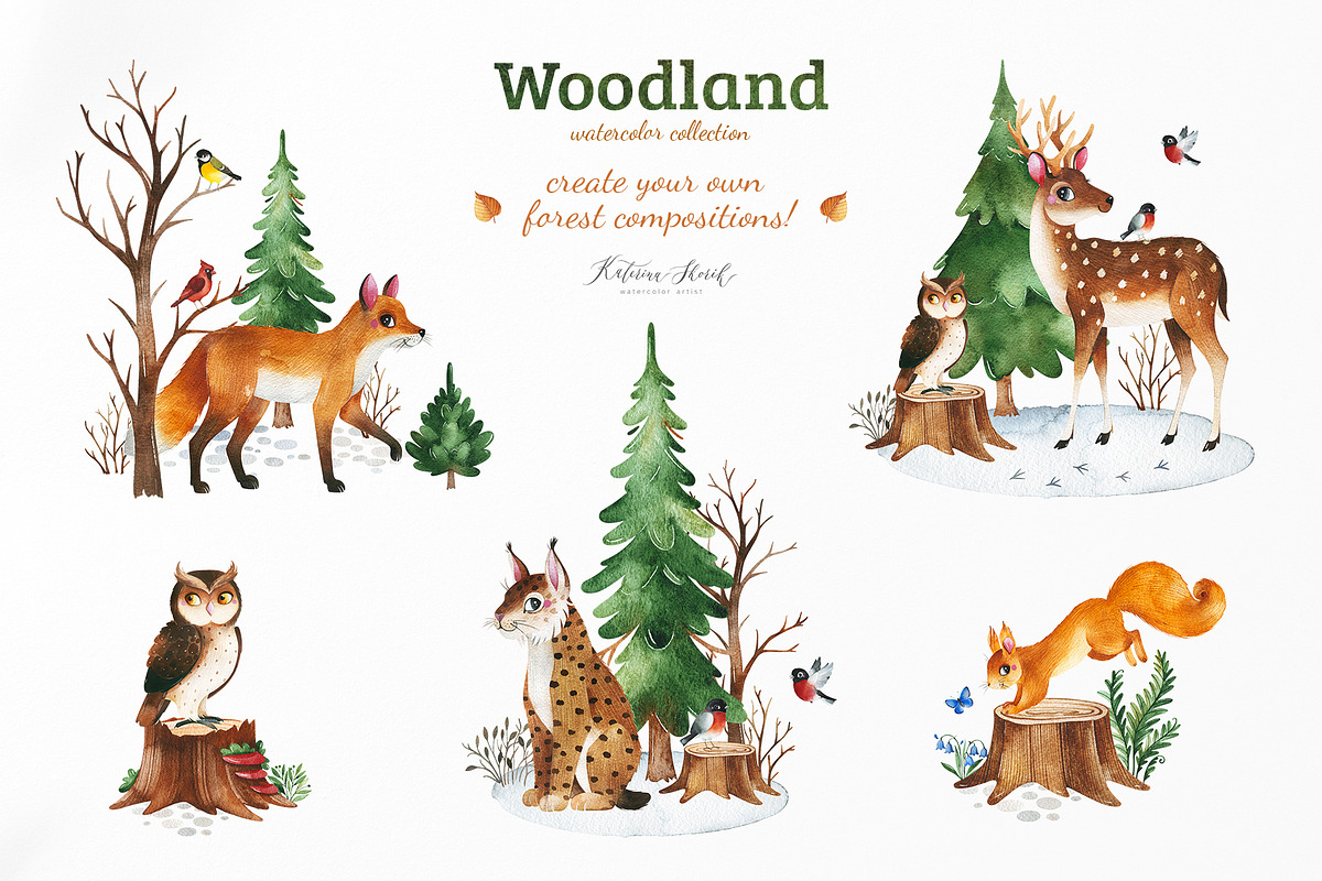 Woodland. Cute forest collection., an Animal Illustration by Kate_Rina (Photo 8 of 15)