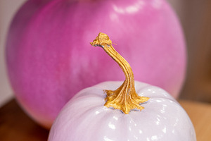 Decorative pumpkins fall composition seasonal, a Background Photo by Photo Drive Studio