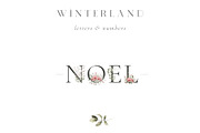 Watercolor Winter. Christmas florals, an Illustration by Kreker Kate (Thumbnail 4 of 10)