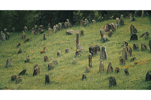 Old ancient Jewish cemetery in, an Architecture Photo by Our Amazing World