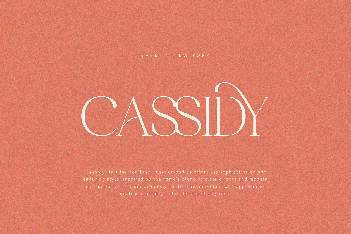 Metagana – Modern Display Serif Font, a Serif Font by BrandSemut (Photo 5 of 8)