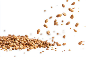 Collection of peanuts falling, a Photo by Pavel_design