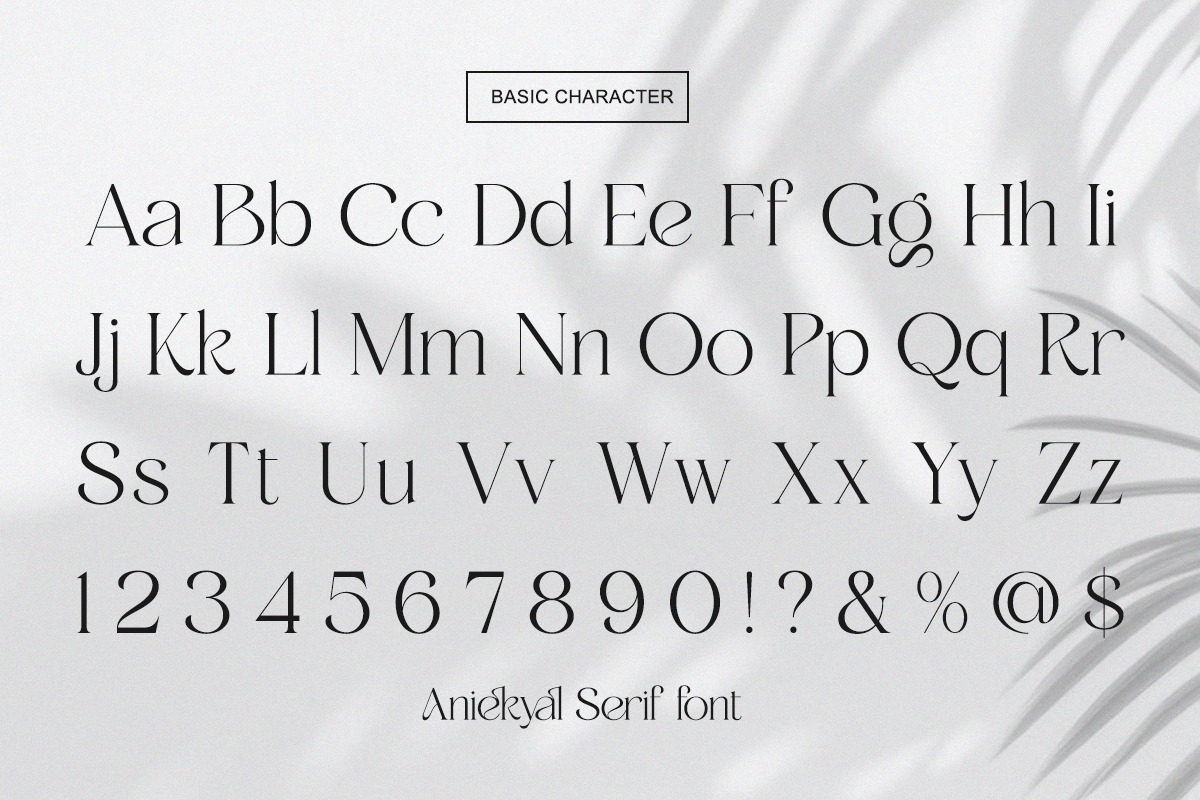 Aniekyal - Luxury Serif Font, a Serif Font by Qweera Studio (Photo 12 of 12)
