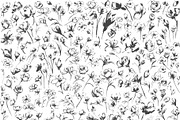 Botanical Sketch Flowers & Greenery, an Illustration by Tinydew (Thumbnail 8 of 9)