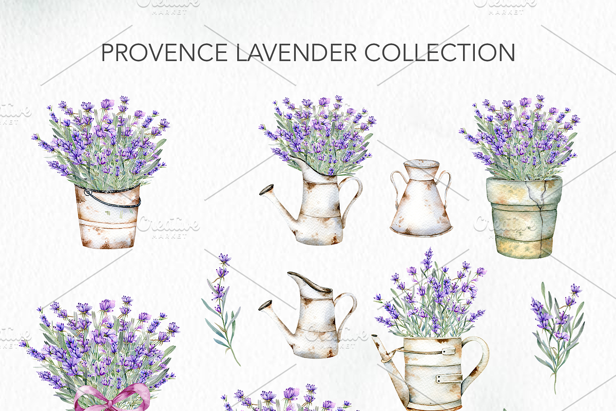 Hand Painted Lavender Watercolor, an Object Illustration by CaraulanStore (Photo 2 of 6)