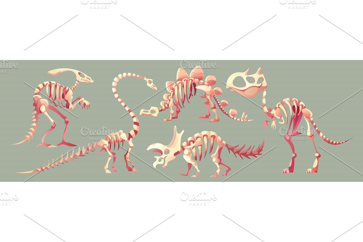 Dinosaur fossil skeleton set, an Illustration by art PVP - market