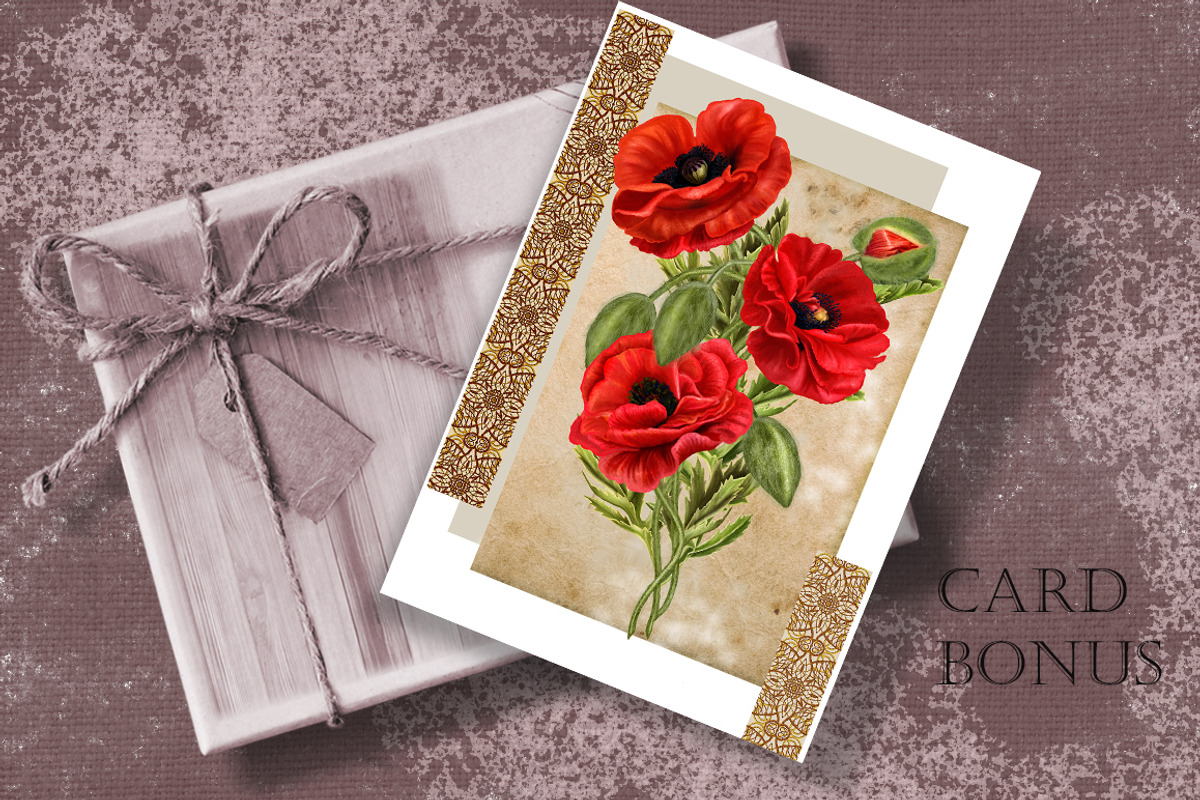 Set. Red poppies, an Illustration by SokolovaSv (Photo 4 of 4)