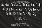 Tumbler, a Handwritten Font by FreshTypeINK (Thumbnail 7 of 8)