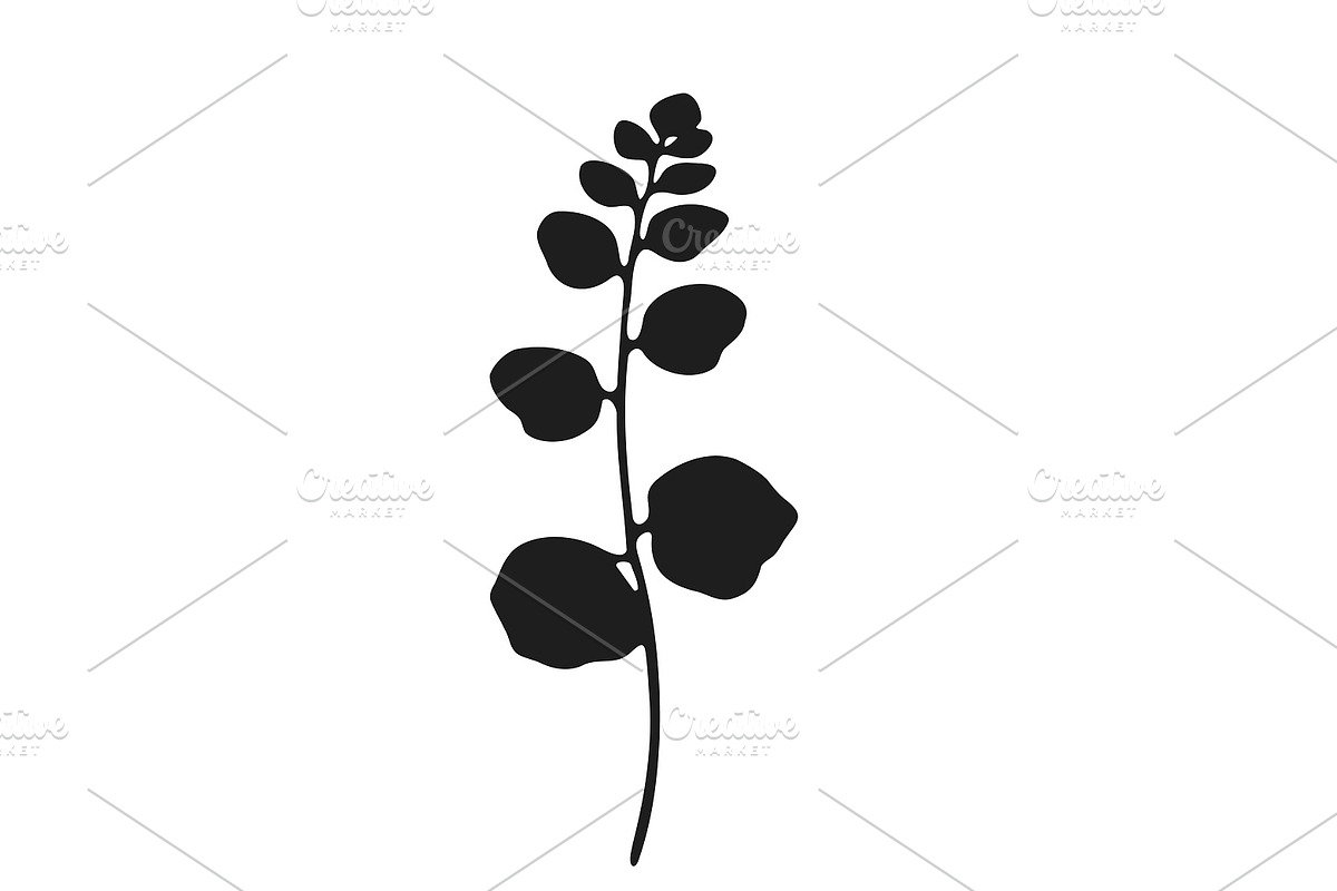 Botanical bundle - svg, png, a Decorative Illustration by Watercolor_Vector Graphic (Photo 23 of 26)