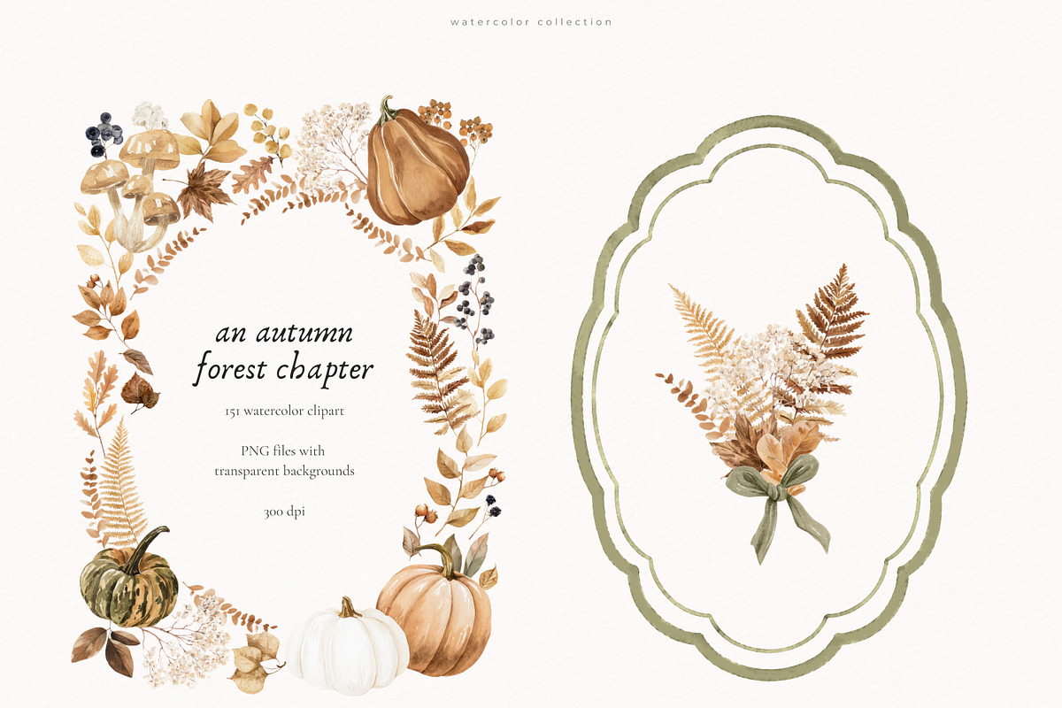 An Autumn Forest Chapter Collection, an Animal Illustration by PeDe Designs (Photo 14 of 29)