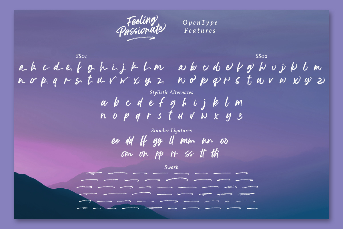 Feeling Passionate - Brush Font, a Script Font by din-studio.com (Photo 10 of 11)