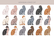 Ukrainian Levkoy cat clip art, an Animal Illustration by pet design shop (Thumbnail 3 of 5)