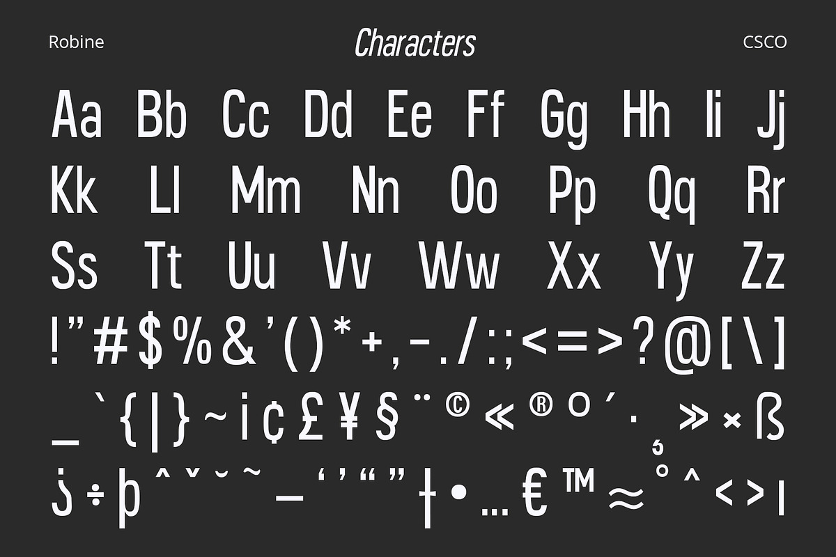 Robine – Condensed Sans Serif, a Sans Serif Font by Craft Supply Co. (Photo 7 of 8)