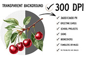 Watercolor Cherry Clip Art, an Illustration by Craft Nest (Thumbnail 2 of 12)