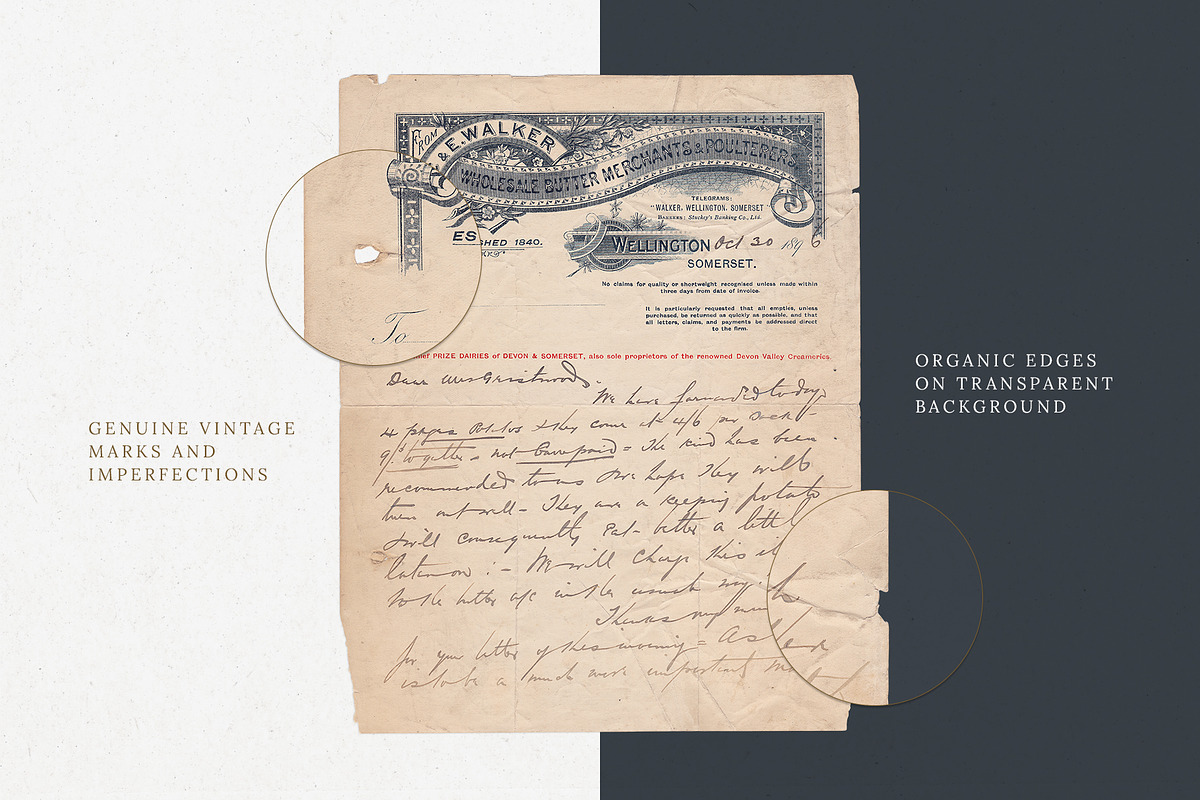 Vintage Ephemera and Overlays, a Texture Graphic by Greta Ivy (Photo 3 of 7)