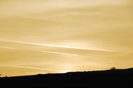 Sunrise featuring sunrise, dawn, and orange