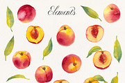 Watercolor Peach Fruits Clipart, a Food Illustration by Olga Begak Art & Design (Thumbnail 2 of 7)