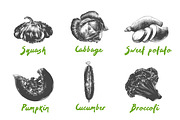 Set of 42 healthy food objects, a Decorative Illustration by Akimo Mia (Thumbnail 4 of 9)