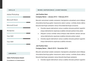 Resume Template CV Template For Word