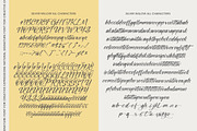 Silver Willow Natural Signature Font, a Script Font by stylishtype.co (Thumbnail 10 of 10)
