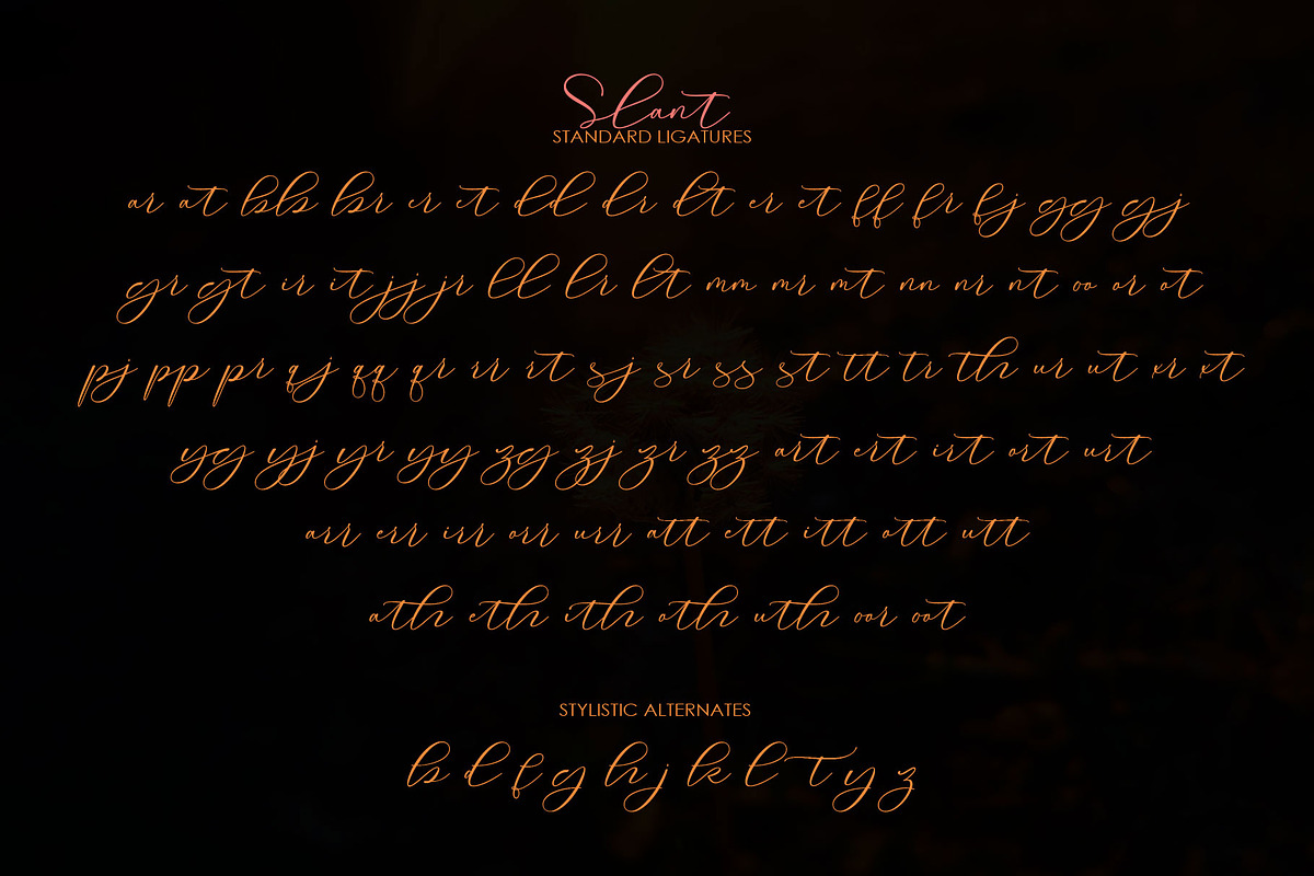 Roommates Script (Reguler & Slant), a Script Font by Jhoel Design (Photo 15 of 16)