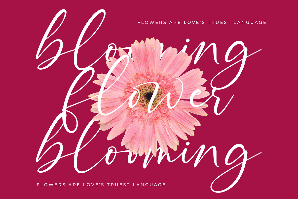 Montise Natasha Stylish Handwritten, a Script Font by stylishtype.co (Photo 7 of 20)