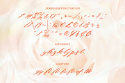 Sweet June - Lovely Script, a Handwritten Font by Typefactoryco (Thumbnail 3 of 10)