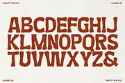 TAN - CHARLIE, a Handwritten Font by TanType (Thumbnail 8 of 14)