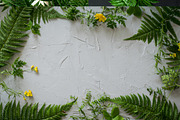 Forest plant background photo bundle, an Abstract Photo by Lum3n (Thumbnail 2 of 2)