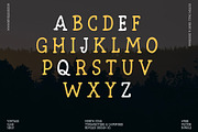North Star | Vintage Slab Serif, a Slab Serif Font by Beveled Design Co. (Thumbnail 7 of 10)