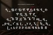 Perfina - Stylish Elegant Serif Font, a Serif Font by Font Liner (Thumbnail 10 of 10)