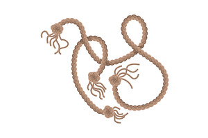 Hanging rope with tassel and, an Illustration by Things for designers