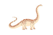 Dinosaurs set, seamless dino pattern, an Animal Illustration by PaperTrident (Thumbnail 18 of 21)