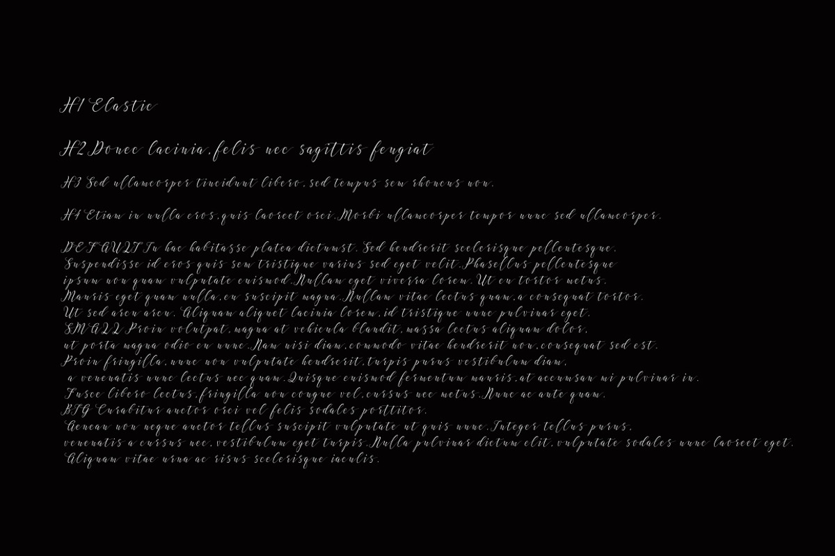Elastic, a Script Font by artisans (Photo 9 of 9)