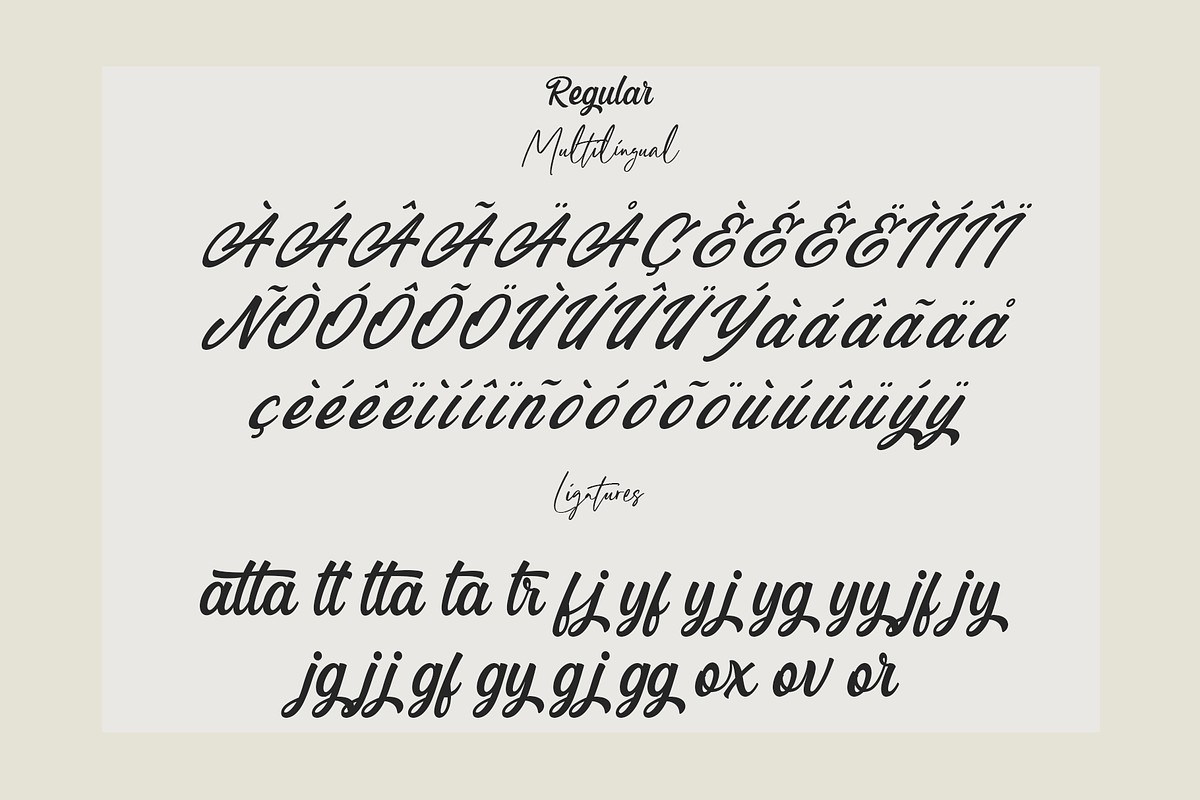 Blackbird - Script Typeface, a Script Font by overlaytemplates (Photo 5 of 7)