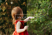 Sage, Moody Lightroom & ACR Presets, an Action Add-On by Darling Josephine (Thumbnail 14 of 27)