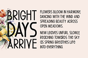 Spring Echoes Typeface, a Sans Serif Font by Seemly Fonts (Thumbnail 4 of 6)