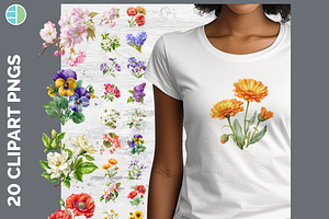 Flower Illustration Bundle, 20 PNG