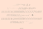 CYTRONI Modern Mix Font Duo, a Serif Font by ana & yvy (Thumbnail 31 of 34)