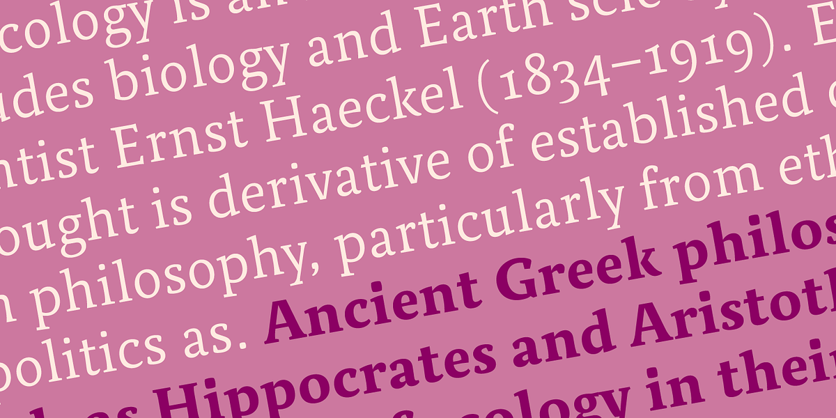 Relato Serif, a Serif Font by Emtype Foundry (Photo 4 of 10)