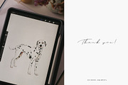 Dog breed clipart illustration set, an Animal Illustration by Diana Askarova Art (Thumbnail 8 of 8)