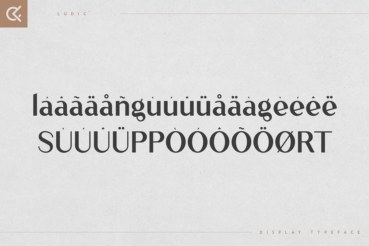 Ludic - Display Vintage Font, a Font by Only Fonts (Photo 9 of 10)