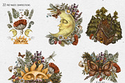 Witchcraft clipart Green witch plant, a Texture Illustration by Belusuab (Thumbnail 7 of 15)