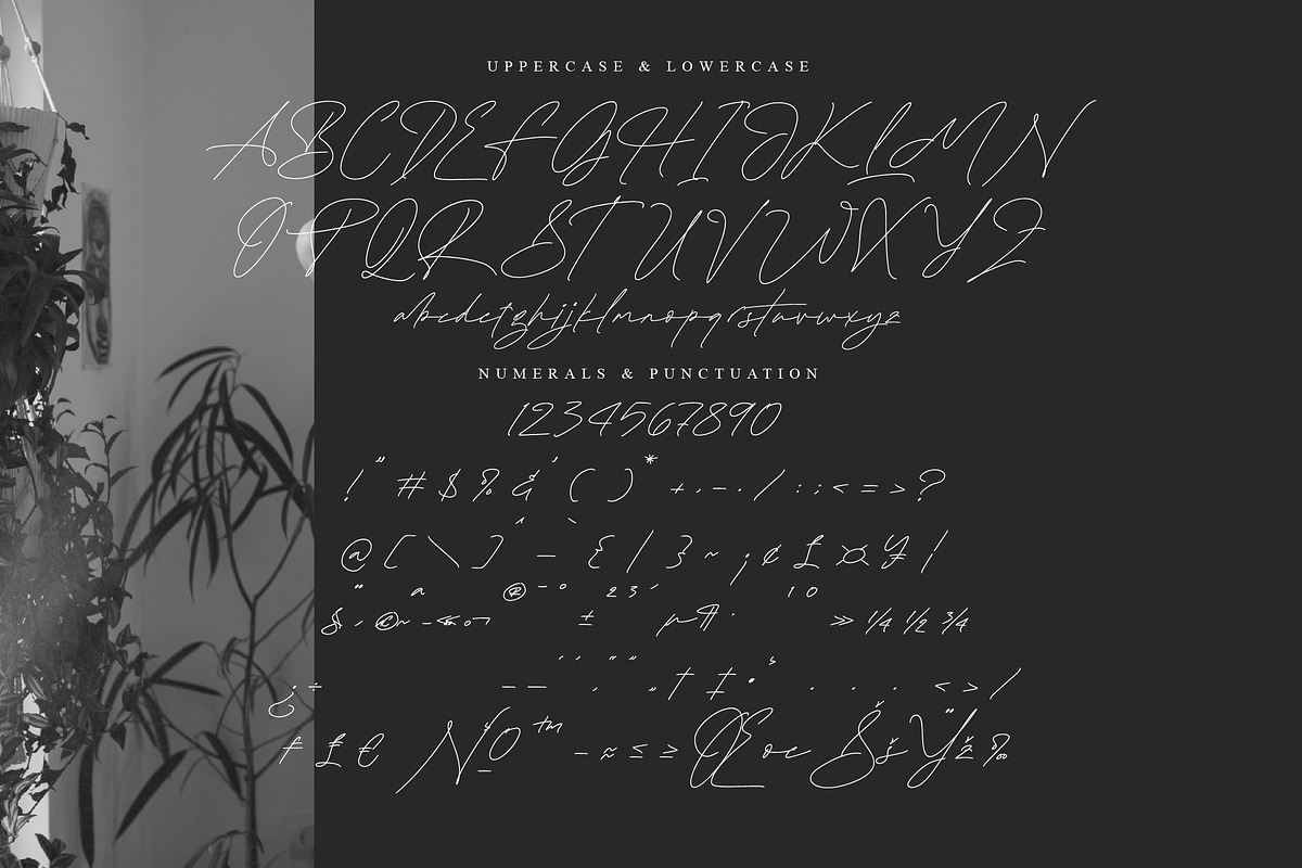 Plamstimes, a Handwritten Font by operatype.co (Photo 13 of 15)