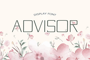 Advisor Summer Font