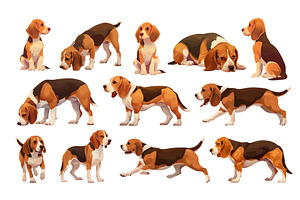 beagle dogs cartoon set. dog hunting, an Animal Illustration by Stock-Smart-Start